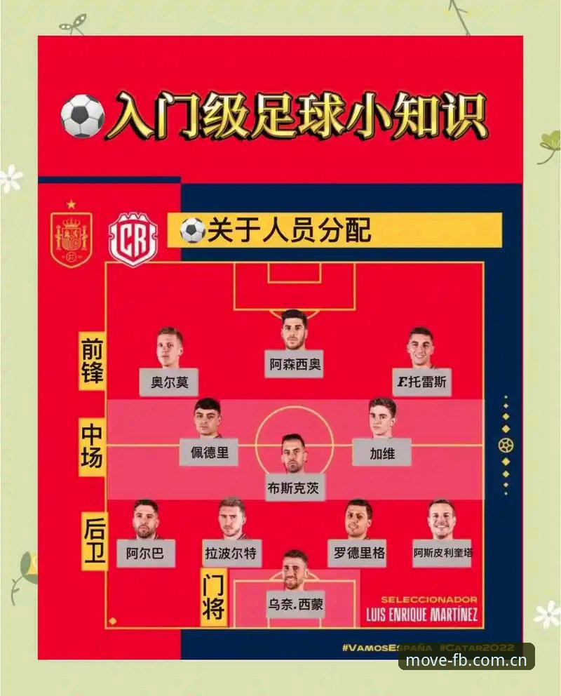 FB体育比分哪个好 世界杯观赛签证受阻实用应对指南——动感体育平台深度解析