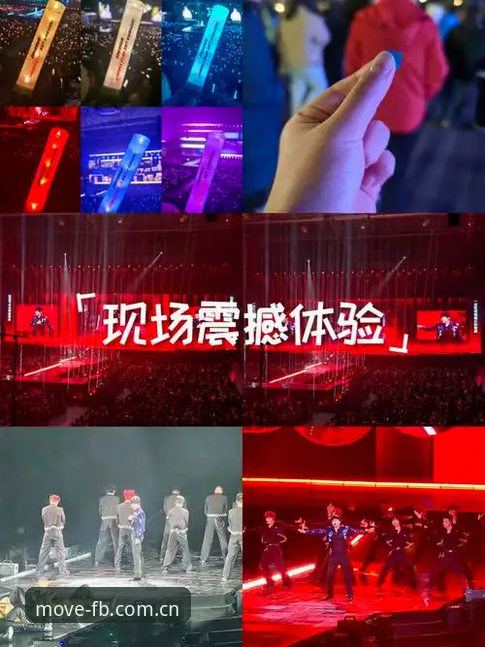 FB体育赛事观看 揭秘FB体育赛事观看:动感体育App背后的极致体验真相